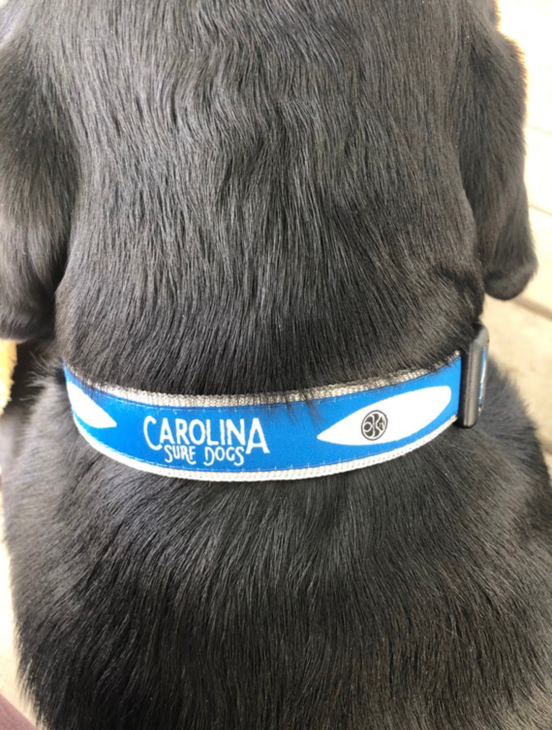 CSD Dog Collar