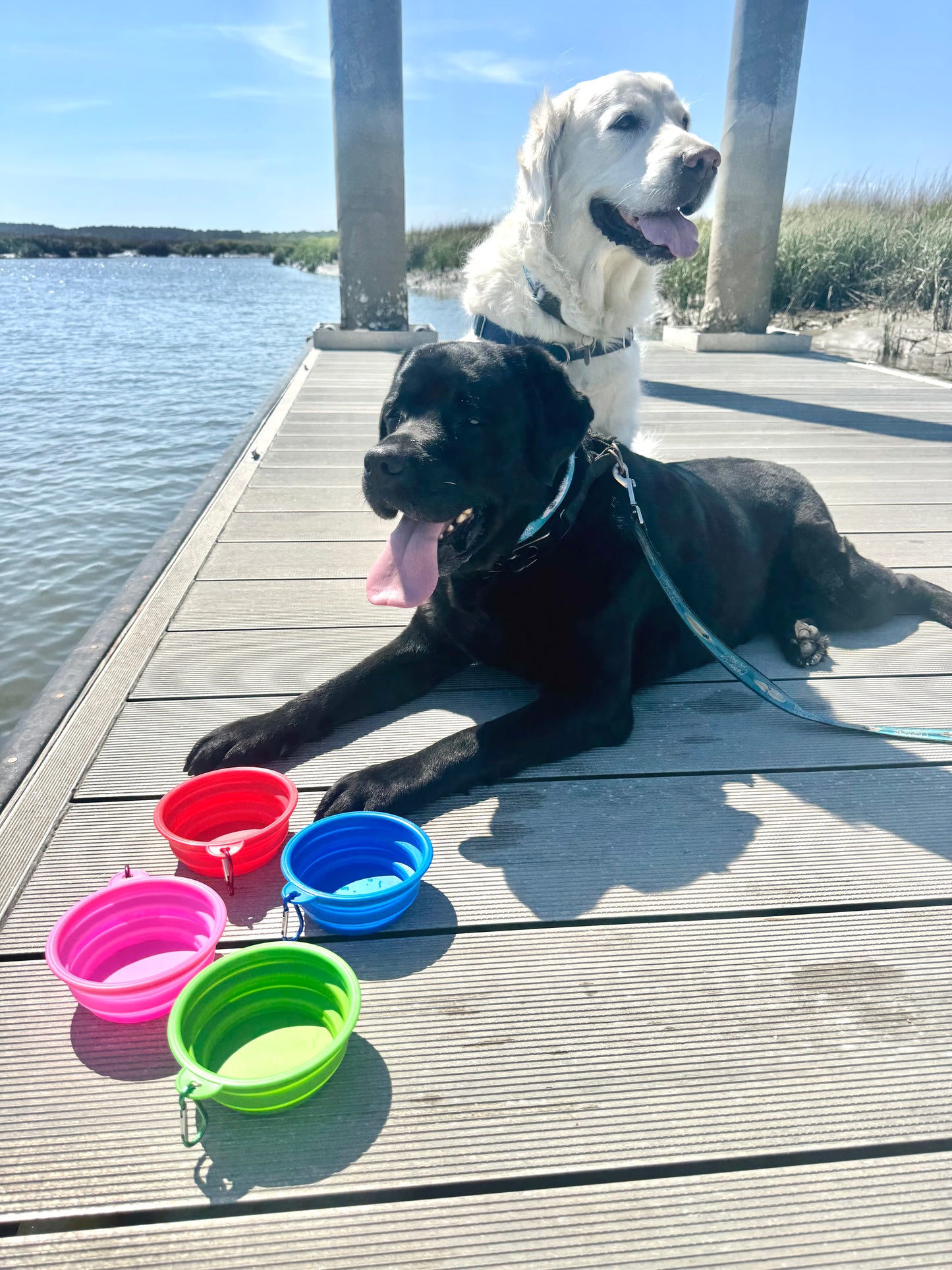 Collapsible water bowl