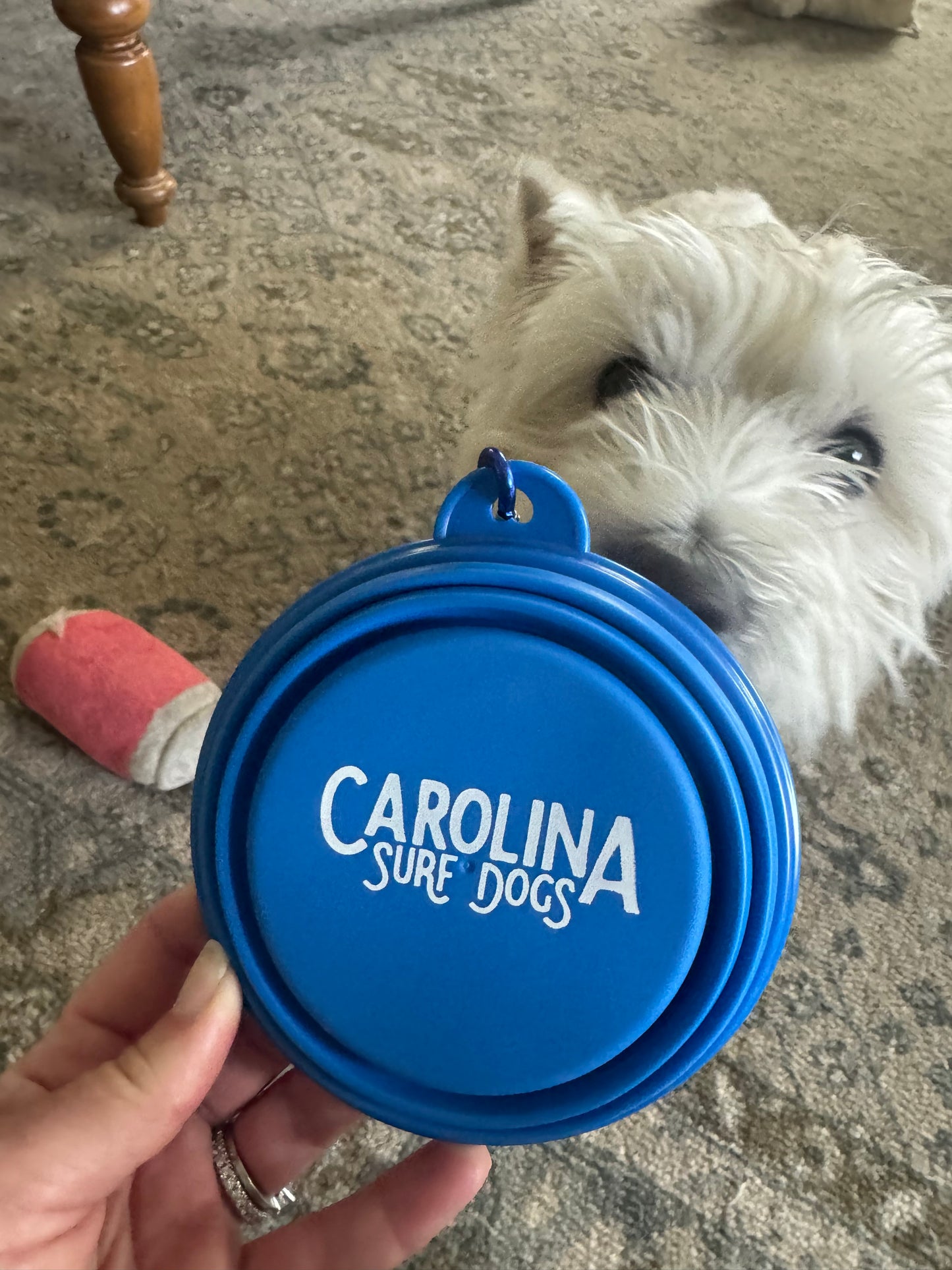 Collapsible water bowl