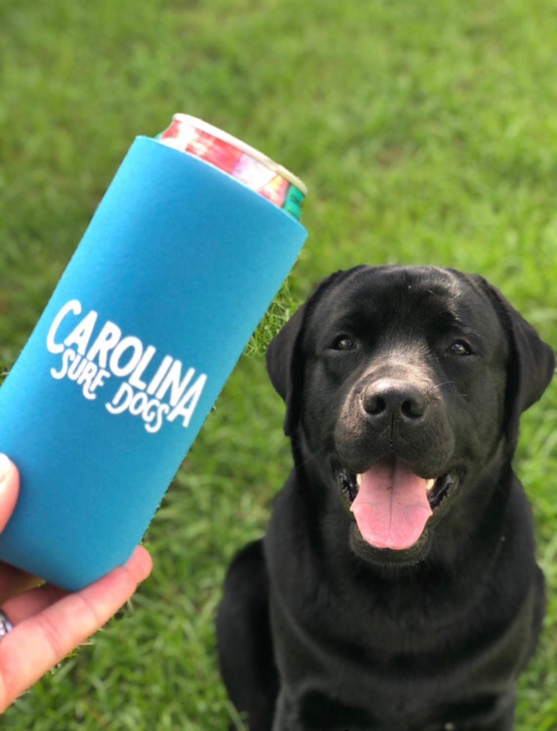 Koozie